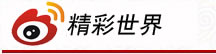 sina微博